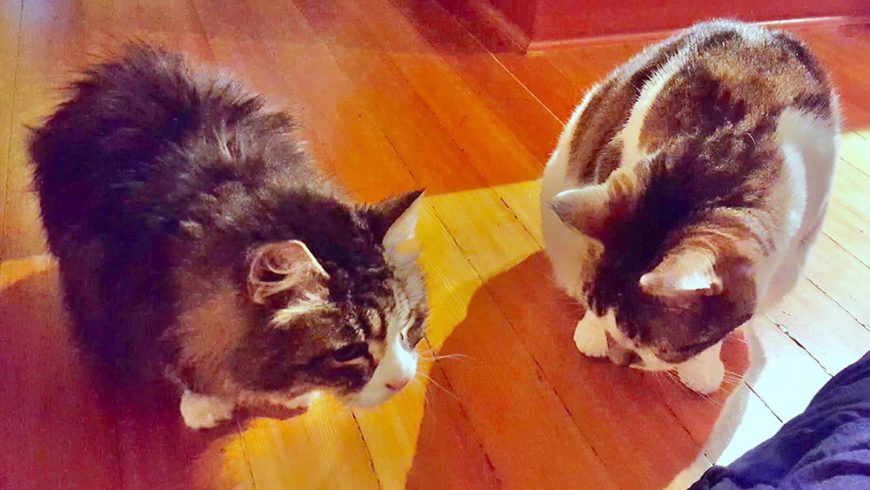 Tanya and Jack:  Friends At Last