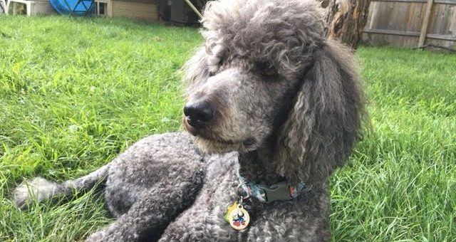 Diego:  Overcoming Obsession