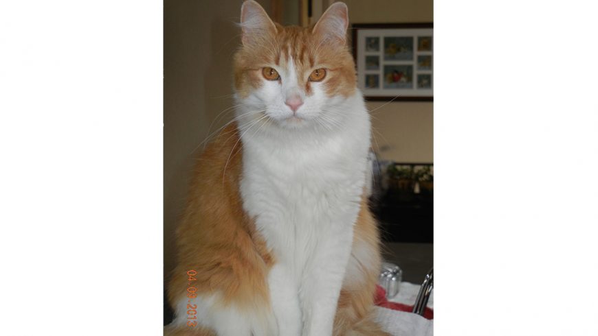 Oscar – Keeping His Promise